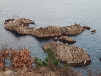 2박3일 속초에서 삼척 댕겨왔습니다. - ◈산내들개인사진방◈ - 무악 산내들 산악회 2박3일 속초에서 삼척 댕겨왔습니다.