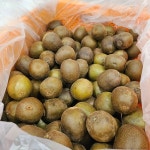 보성 골드키위&장수 부사!!!!! - - 한경유통 건강먹거리 - 다육이알뜰장터 보성 골드키위&장수 부사!!!!!