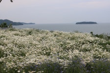 25.8.24전북사진작가 사진대회(2) - 사진1100-600 - 팔마산 팔마산 25.8.24전북사진작가 사진대회(2)