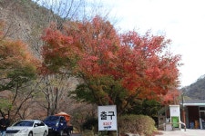 23.11.11대흥회 광천사 야유회(1) - 사진 900*600 - 팔마산 팔마산 23.11.11대흥회 광천사 야유회(1)