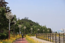 25.6.7.대야와 하구뚝과 국군묘지 - 사진1100-600 - 팔마산 팔마산 25.6.7.대야와 하구뚝과 국군묘지