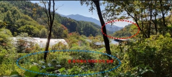 남양주 호평동 신도시배후 토지 (시세 30%) 천마산자락 개발호재 많음 - ◎임야 매물 - 전원주택.귀농 귀촌사랑 남양주 호평동 신도시배후 토지... 