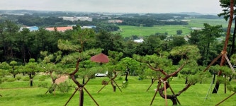 화성 수목장 시흥 수목장 추천합니다~~ - 토지 - 산골 전원주택이야기(전원 황토 농가주택 땅 토지 부동산 ) 화성 수목장 시흥 수목장 추천합니다~~