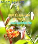 남양주 호평동 신도시배후 토지 (시세 30%) 천마산자락 개발호재 많음 - ◎임야 매물 - 전원주택.귀농 귀촌사랑 남양주 호평동 신도시배후 토지... 