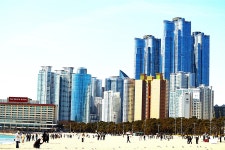 해운대 동백섬 나들이 중국한족 어린이 와 동박새초고층 빌딩 사진 들 - 일반 게시판 - 고노실 해운대 동백섬 나들이 중국한족 어린이 와... 