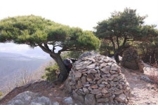 꿈에서 가는 관광 ㅋㅋㅋ - 카페공지글▒ - 대전백운초등학교 22회 동창회 꿈에서 가는 관광 ㅋㅋㅋ