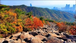해운대구 장산 - 여행 등산방 - 월남전 참전자회 부산광역시 동래구지회 월남전 참전자회 부산광역시 동래구지회