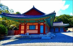 장군2봉 - 개인 사진방 - 오솔길 풍경 장군2봉