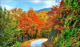 부산 금정구 회동호 둘레길 - 여행 등산방 - 월남전 참전자회 부산광역시 동래구지회 월남전 참전자회 부산광역시 동래구지회