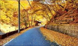 양산 내원사 - 여행 등산방 - 월남전 참전자회 부산광역시 동래구지회 월남전 참전자회 부산광역시 동래구지회