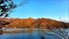 부산 금정구 회동호 둘레길 - 여행 등산방 - 월남전 참전자회 부산광역시 동래구지회 월남전 참전자회 부산광역시 동래구지회