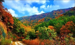 부산 금정구 회동호 둘레길 - 여행 등산방 - 월남전 참전자회 부산광역시 동래구지회 월남전 참전자회 부산광역시 동래구지회