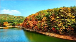 부산 금정구 회동호 둘레길 - 여행 등산방 - 월남전 참전자회 부산광역시 동래구지회 월남전 참전자회 부산광역시 동래구지회