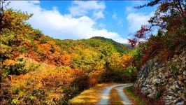 부산 금정구 회동호 둘레길 - 여행 등산방 - 월남전 참전자회 부산광역시 동래구지회 월남전 참전자회 부산광역시 동래구지회