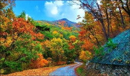 부산 금정구 회동호 둘레길 - 여행 등산방 - 월남전 참전자회 부산광역시 동래구지회 월남전 참전자회 부산광역시 동래구지회