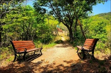 백양산 철쭉 - 여행 등산방 - 월남전 참전자회 부산광역시 동래구지회 월남전 참전자회 부산광역시 동래구지회