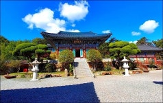 장군2봉 - 개인 사진방 - 오솔길 풍경 장군2봉