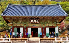 부산 금정산 범어사 고당봉 - 여행 등산방 - 월남전 참전자회 부산광역시 동래구지회 월남전 참전자회 부산광역시 동래구지회