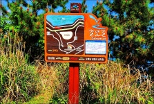 오륙도 스카이워크-이기대(해파랑길1코스) - 여행 등산방 - 월남전 참전자회 부산광역시 동래구지회 월남전 참전자회 부산광역시 동래구지회