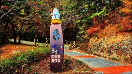 부산 금정구 회동호 둘레길 - 여행 등산방 - 월남전 참전자회 부산광역시 동래구지회 월남전 참전자회 부산광역시 동래구지회