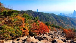 해운대구 장산 - 여행 등산방 - 월남전 참전자회 부산광역시 동래구지회 월남전 참전자회 부산광역시 동래구지회