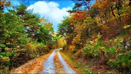 부산 금정구 회동호 둘레길 - 여행 등산방 - 월남전 참전자회 부산광역시 동래구지회 월남전 참전자회 부산광역시 동래구지회