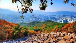 해운대구 장산 - 여행 등산방 - 월남전 참전자회 부산광역시 동래구지회 월남전 참전자회 부산광역시 동래구지회