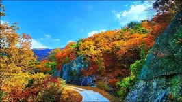 부산 금정구 회동호 둘레길 - 여행 등산방 - 월남전 참전자회 부산광역시 동래구지회 월남전 참전자회 부산광역시 동래구지회