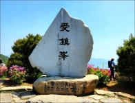 백양산 철쭉 - 여행 등산방 - 월남전 참전자회 부산광역시 동래구지회 월남전 참전자회 부산광역시 동래구지회