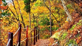 부산 금정구 회동호 둘레길 - 여행 등산방 - 월남전 참전자회 부산광역시 동래구지회 월남전 참전자회 부산광역시 동래구지회