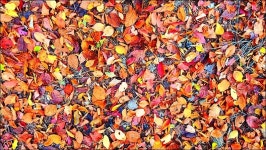 부산 금정구 회동호 둘레길 - 여행 등산방 - 월남전 참전자회 부산광역시 동래구지회 월남전 참전자회 부산광역시 동래구지회