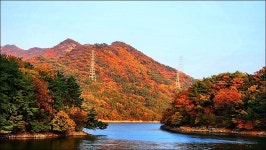부산 금정구 회동호 둘레길 - 여행 등산방 - 월남전 참전자회 부산광역시 동래구지회 월남전 참전자회 부산광역시 동래구지회