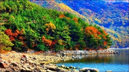 부산 금정구 회동호 둘레길 - 여행 등산방 - 월남전 참전자회 부산광역시 동래구지회 월남전 참전자회 부산광역시 동래구지회