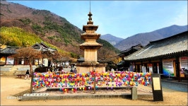 영남알프스 천황산1.189m 재약산1.119m 표충사 - 여행 등산방 - 월남전 참전자회 부산광역시 동래구지회 월남전 참전자회 부산광역시 동래구지회