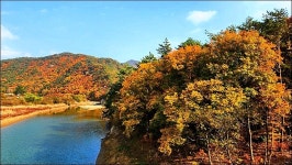 부산 금정구 회동호 둘레길 - 여행 등산방 - 월남전 참전자회 부산광역시 동래구지회 월남전 참전자회 부산광역시 동래구지회