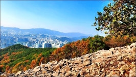 해운대구 장산 - 여행 등산방 - 월남전 참전자회 부산광역시 동래구지회 월남전 참전자회 부산광역시 동래구지회