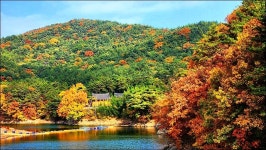 부산 금정구 회동호 둘레길 - 여행 등산방 - 월남전 참전자회 부산광역시 동래구지회 월남전 참전자회 부산광역시 동래구지회