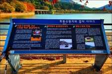 부산 금정구 회동호 둘레길 - 여행 등산방 - 월남전 참전자회 부산광역시 동래구지회 월남전 참전자회 부산광역시 동래구지회