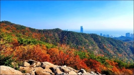 해운대구 장산 - 여행 등산방 - 월남전 참전자회 부산광역시 동래구지회 월남전 참전자회 부산광역시 동래구지회