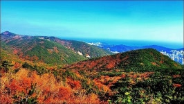 해운대구 장산 - 여행 등산방 - 월남전 참전자회 부산광역시 동래구지회 월남전 참전자회 부산광역시 동래구지회
