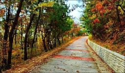 부산 금정구 회동호 둘레길 - 여행 등산방 - 월남전 참전자회 부산광역시 동래구지회 월남전 참전자회 부산광역시 동래구지회
