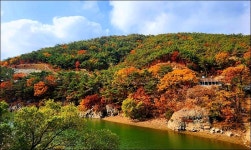 부산 금정구 회동호 둘레길 - 여행 등산방 - 월남전 참전자회 부산광역시 동래구지회 월남전 참전자회 부산광역시 동래구지회