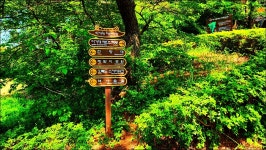 오륙도 스카이워크-이기대(해파랑길1코스) - 여행 등산방 - 월남전 참전자회 부산광역시 동래구지회 월남전 참전자회 부산광역시 동래구지회