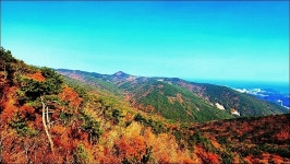 해운대구 장산 - 여행 등산방 - 월남전 참전자회 부산광역시 동래구지회 월남전 참전자회 부산광역시 동래구지회