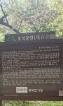동두천시 소요산관광지 - 폰 앨범 - 아름다운 5060 동두천시 소요산관광지