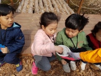 남산 숲체험 ~~~ - ----- 다솜반(7세) - 아하브 어린이집 남산 숲체험 ~~~