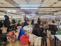 농장피크닉체험 - 농장피크닉 체험 - 예향교육농장/어린이 농장카페 농장피크닉체험