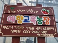 자연놀이터에서.. - 알림방 - 예향교육농장/어린이 농장카페 자연놀이터에서..