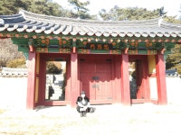 신숭겸 장군의 후손으로 묘소를 찾아 뵈었습니다 - 자유 게시판 - 시사평론 - 정론직필을 찾아서 신숭겸 장군의 후손으로 묘소를 찾아 뵈었습니다