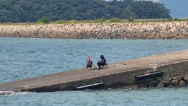 생활속 사진 - 153영상 - -배달심신수련회-(택견&명상)-성북택견회- 생활속 사진